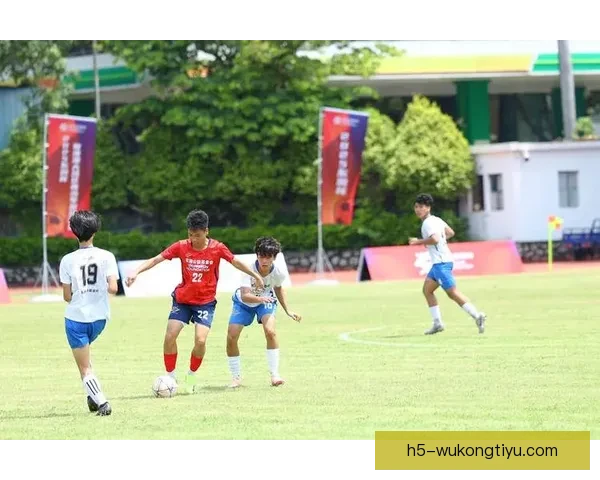 大园直播间足球赛事深度解析陪你看懂精彩每一场对决背后战术与故事